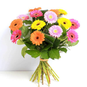 Vibrant Germinis